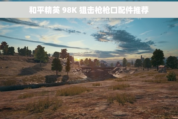 和平精英 98K 狙击枪枪口配件推荐