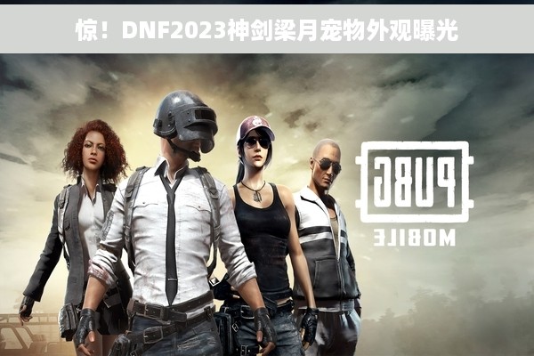 惊！DNF2023神剑梁月宠物外观曝光
