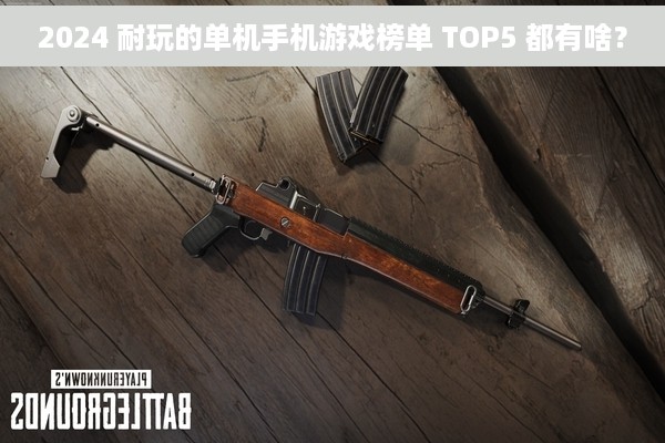 2024 耐玩的单机手机游戏榜单 TOP5 都有啥？