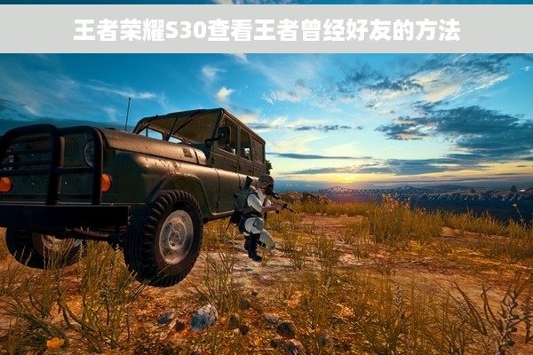 王者荣耀S30查看王者曾经好友的方法