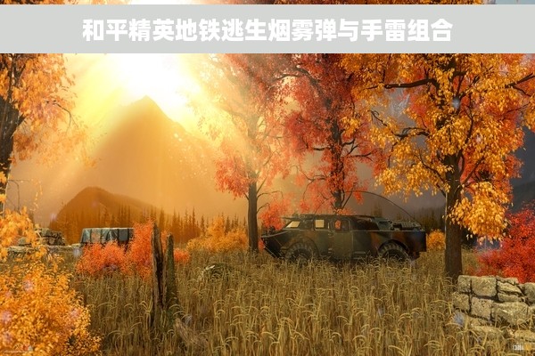 和平精英地铁逃生烟雾弹与手雷组合