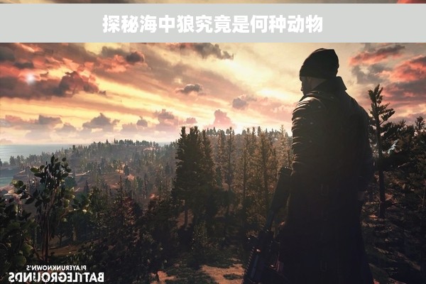 探秘海中狼究竟是何种动物