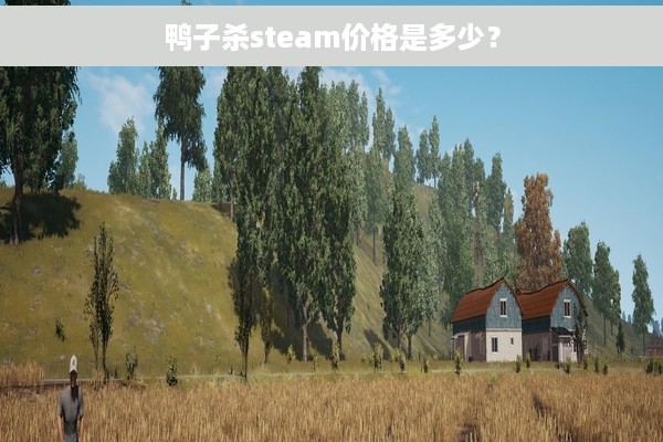 鸭子杀steam价格是多少？
