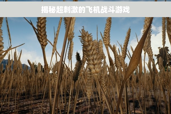 揭秘超刺激的飞机战斗游戏