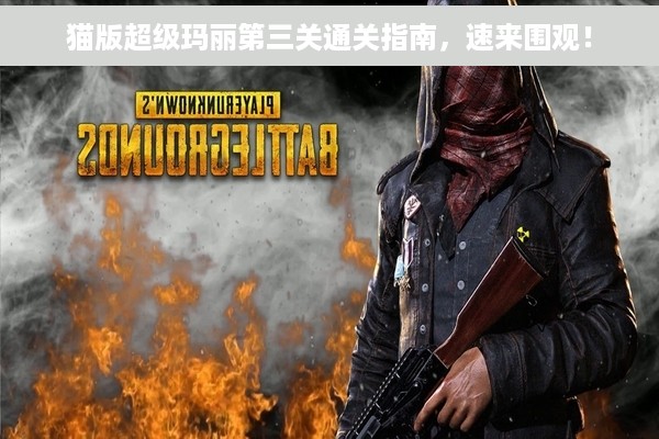 猫版超级玛丽第三关通关指南，速来围观！