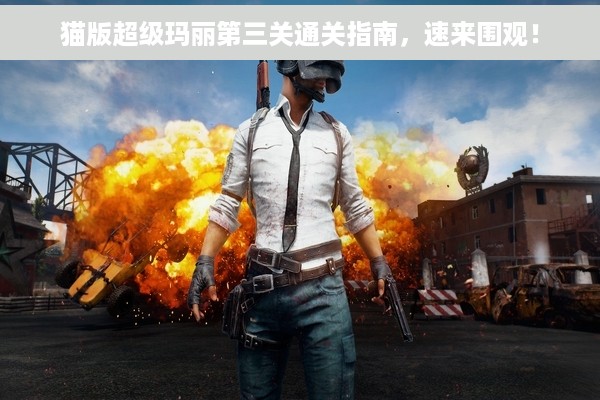 猫版超级玛丽第三关通关指南，速来围观！