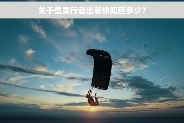 关于兽灵行者出装你知道多少？