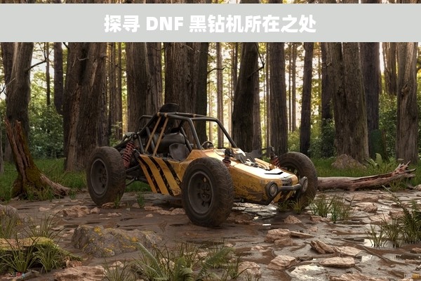 探寻 DNF 黑钻机所在之处