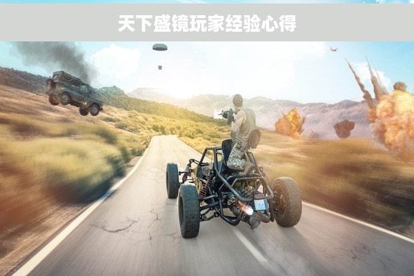 天下盛镜玩家经验心得