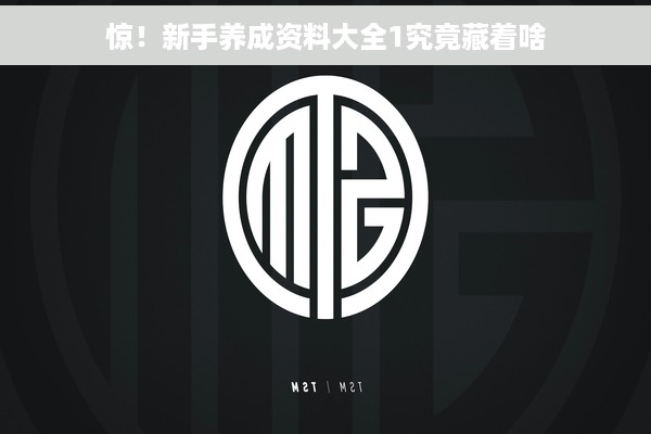 惊！新手养成资料大全1究竟藏着啥