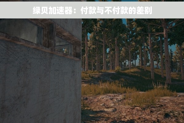 绿贝加速器：付款与不付款的差别