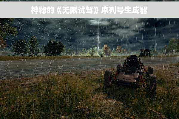 神秘的《无限试驾》序列号生成器
