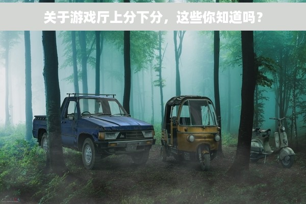 关于游戏厅上分下分，这些你知道吗？