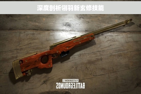 深度剖析翎羽新玄修技能