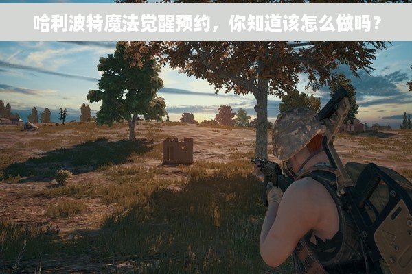 哈利波特魔法觉醒预约，你知道该怎么做吗？