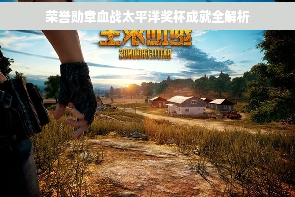 荣誉勋章血战太平洋奖杯成就全解析