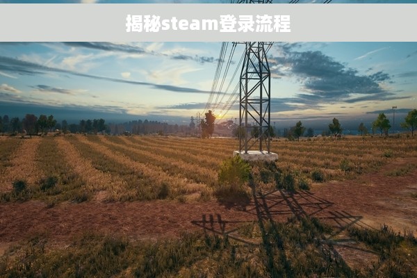 揭秘steam登录流程